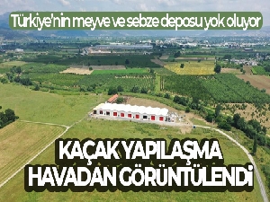 Bursa Ovası böyle yok oluyor