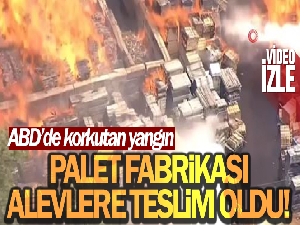 ABD'de palet fabrikasında korkutan yangın