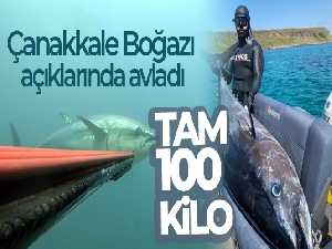 Çanakkale Boğazı açıklarında zıpkınla 100 kiloluk orkinos avladı