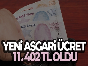 Yeni asgari ücret 11.402 TL oldu