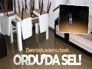 Ordu'da sağanak etkili oldu: Dere taşkını yaşandı, bazı evleri su bastı