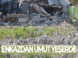 Enkazdan umut yeşerdi