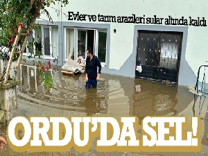 Ordu'da sel: Evler ve tarım arazileri sular altında kaldı