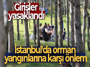 İstanbul'da orman yangınlarına karşı önlem: Girişler yasaklandı