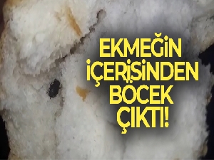 Ekmeğin içerisinden böcek çıktı