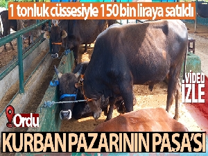Kurban pazarının Paşa'sı