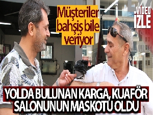 Yolda bulunan karga, kuaför salonunun maskotu oldu