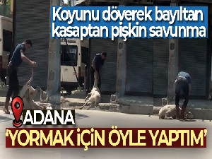 Koyunu döverek bayıltan kasaptan pişkin savunma: 'Yormak için öyle yaptım'