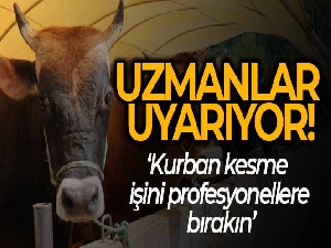 Uzmanlar uyarıyor: 'Kurban kesme işini profesyonellere bırakın'