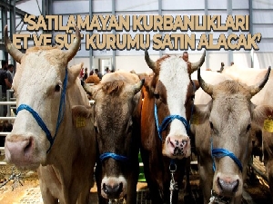 Bakan Yumaklı duyurdu: 'Satılamayan kurbanlıkları Et ve Süt Kurumu satın alacak'