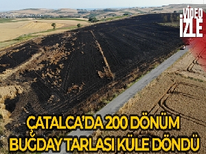 Çatalca'da 200 dönümlük buğday tarlası alev alev yandı