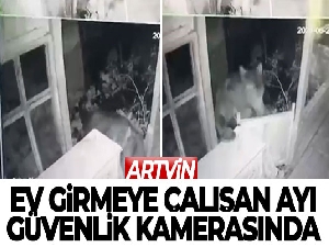 Eve girmeye çalışan ayı güvenlik kamerasına yansıdı