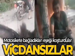 Motosiklete bağladıkları eşeği kilometrelerce koşturdular