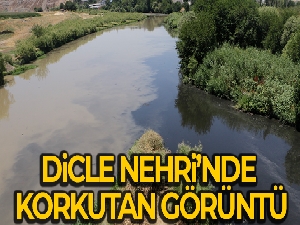 Dicle Nehri'nde korkutan görüntü