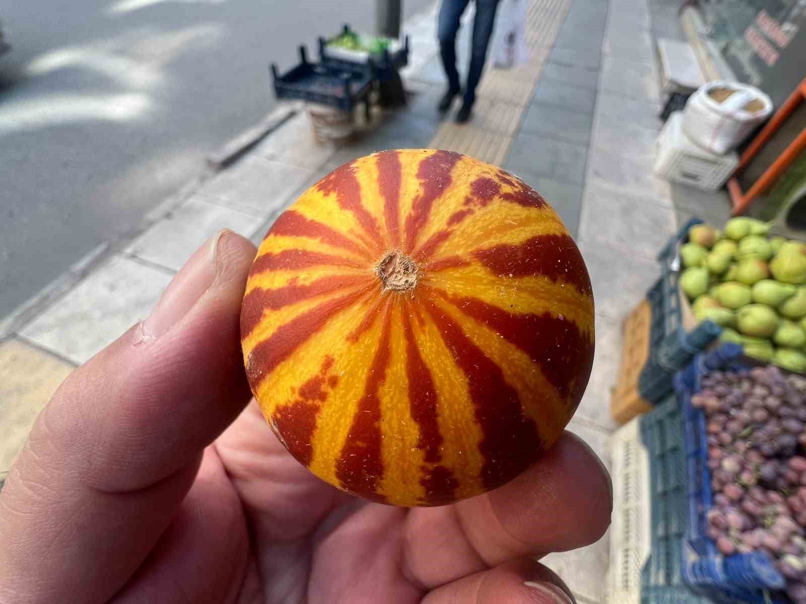 elazig-da-kokulu-sus-kavunu-tezgahlarda