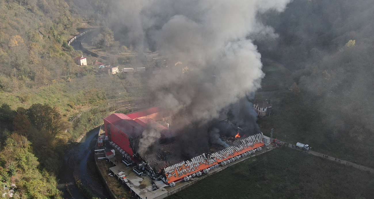 Giresun’da balık tesisinde yangın