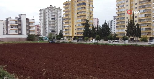 Tarımı milyonlara değişmiyor: Binaların arasında kalan tarlasında üretim yapıyor