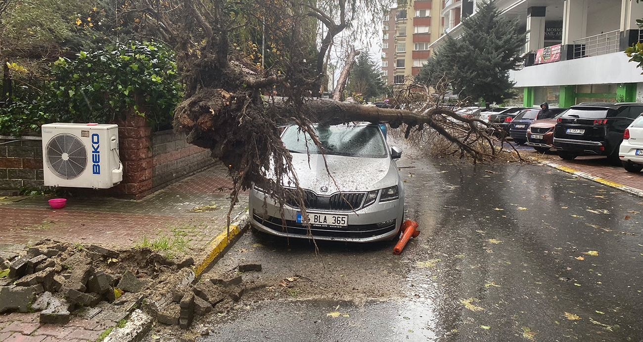 Beylikdüzü’nde şiddetli rüzgar nedeniyle ağaç, bir kadının üzerine devrildi