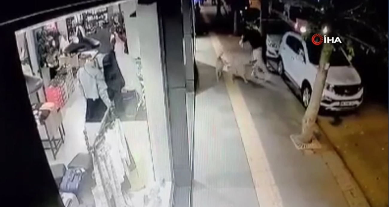 Ankara’da bir gencin başıboş köpeğin saldırısına uğradığı an kamerada