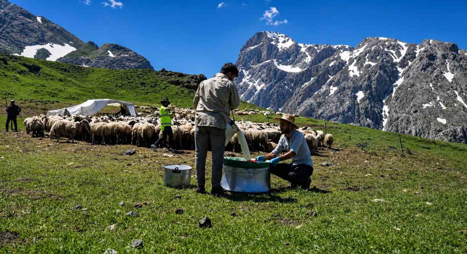 zorlu-yayla-sartlarinda-tescilli-lezzet-uretiliyor