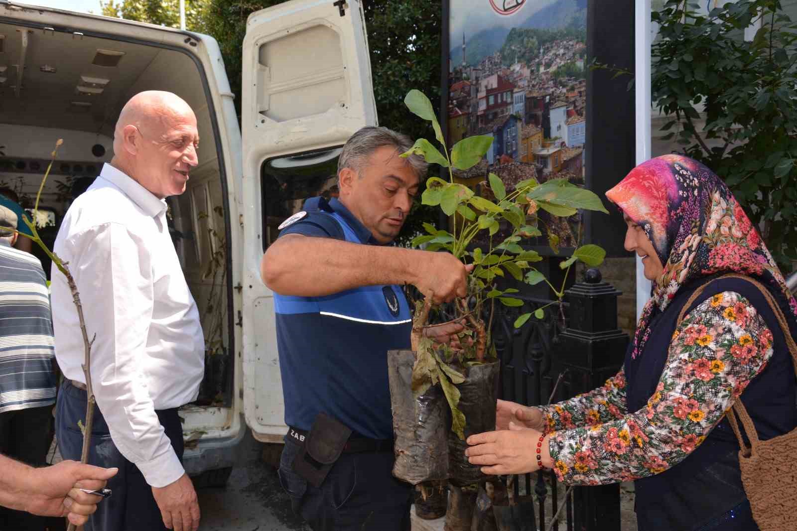 babadag-belediyesinden-ciftcilere-ceviz-fidani-destegi