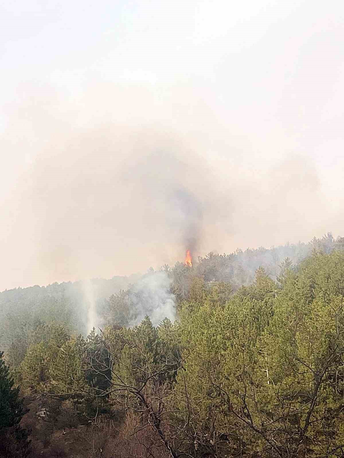 Eskişehir’de çıkan orman yangınında 1 hektarlık alan zarar gördü