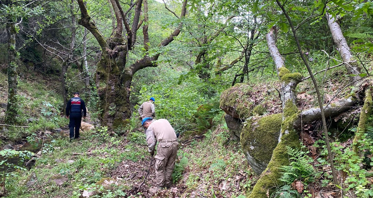 Arama çalışmalarında Korhan Berzeg’e ait yeni bulgulara ulaşıldı
