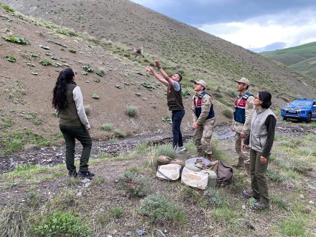 Bitlis’te keklik avlayan 2 kişiye 50 bin 824 lira para cezası uygulandı