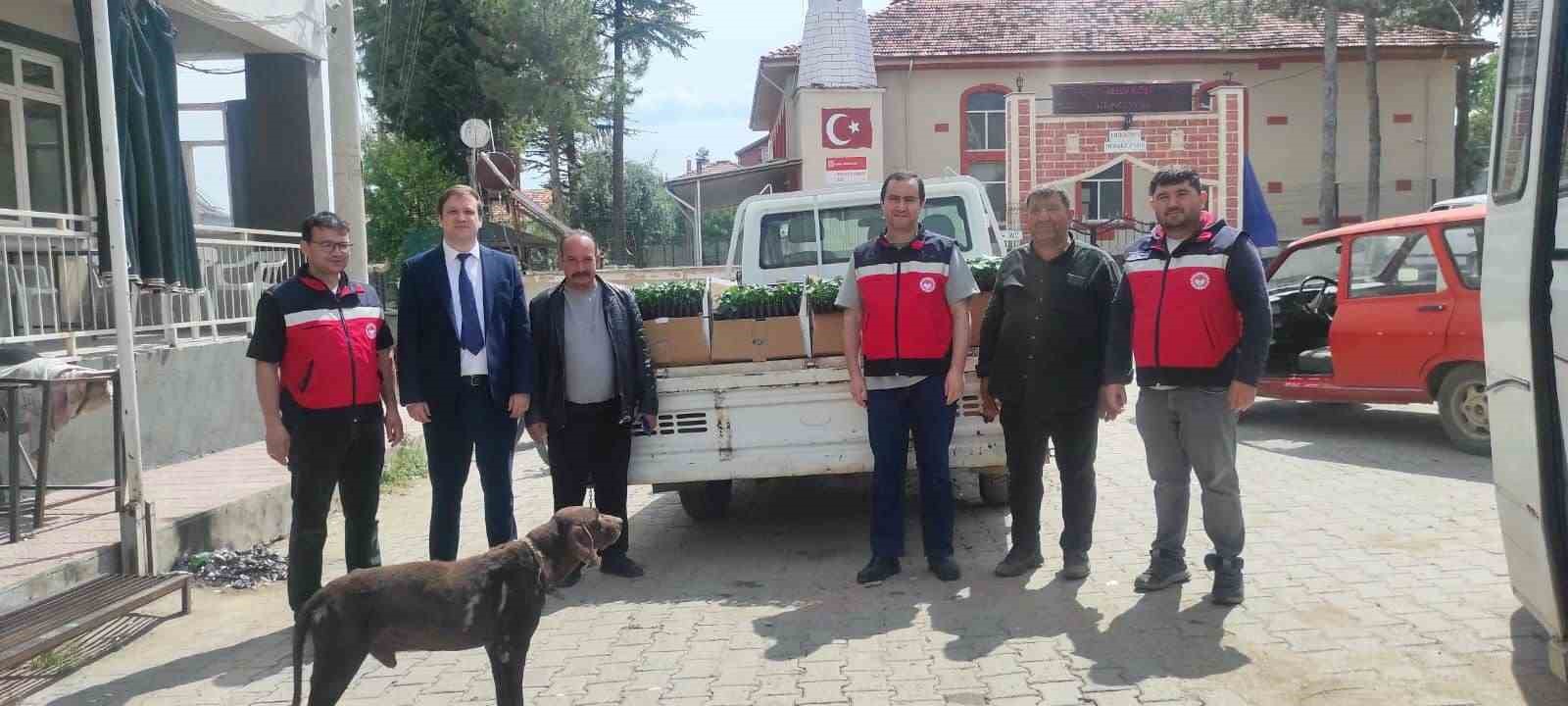 Gediz’de üreticilere yüzde 50 hibeli 26 bin 780 kök biber ve domates fidesi