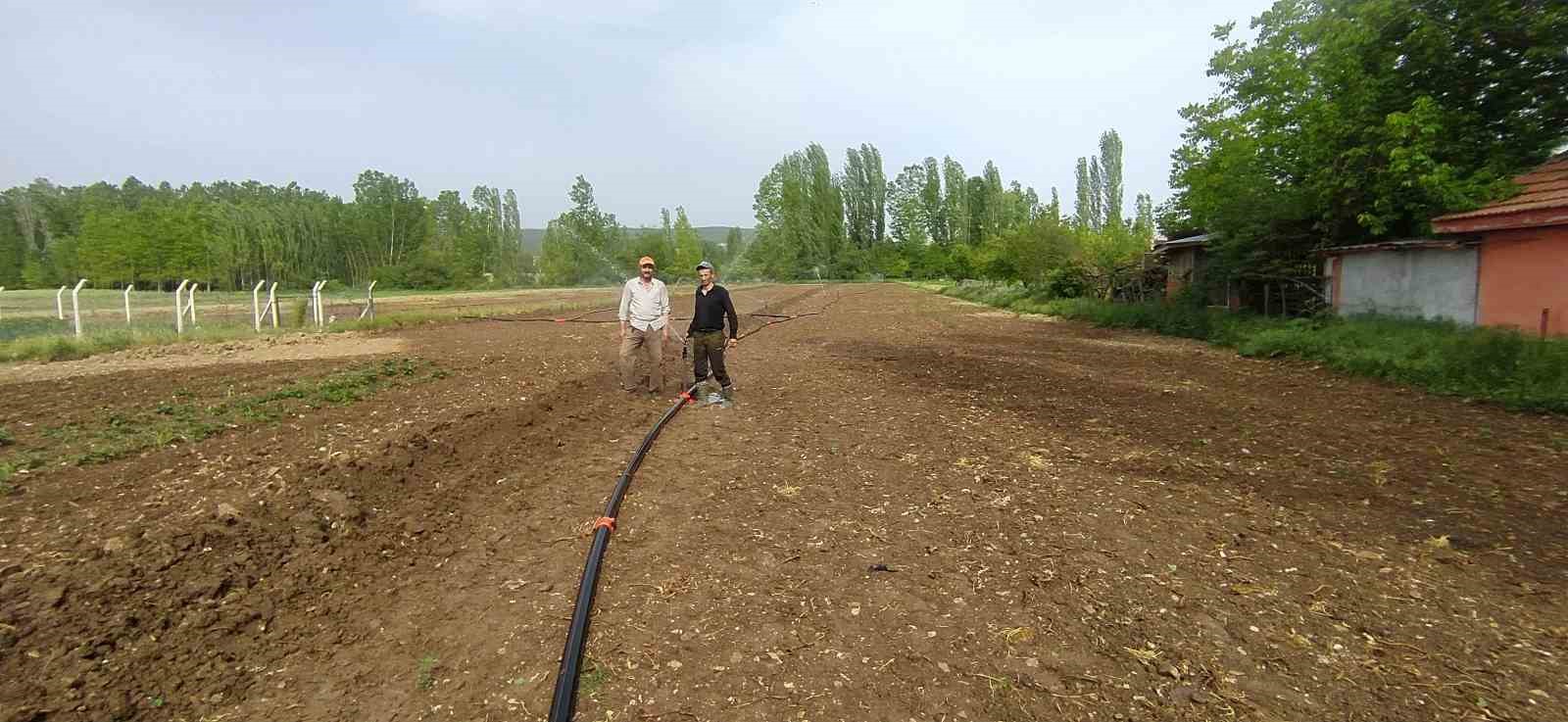 Hisarcık’ta kuraklık pancar üreticisini vurdu