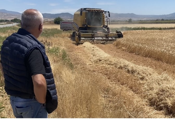 Üzümüyle ünlü Manisa’nın Alaşehir ilçesinde arpa hasadı başladı