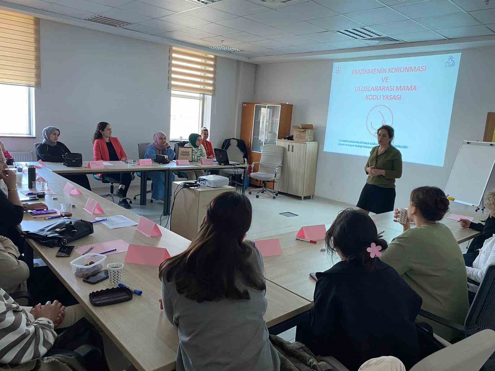 Sağlıkçılara anne sütü ve emzirme danışmanlığı eğitimi