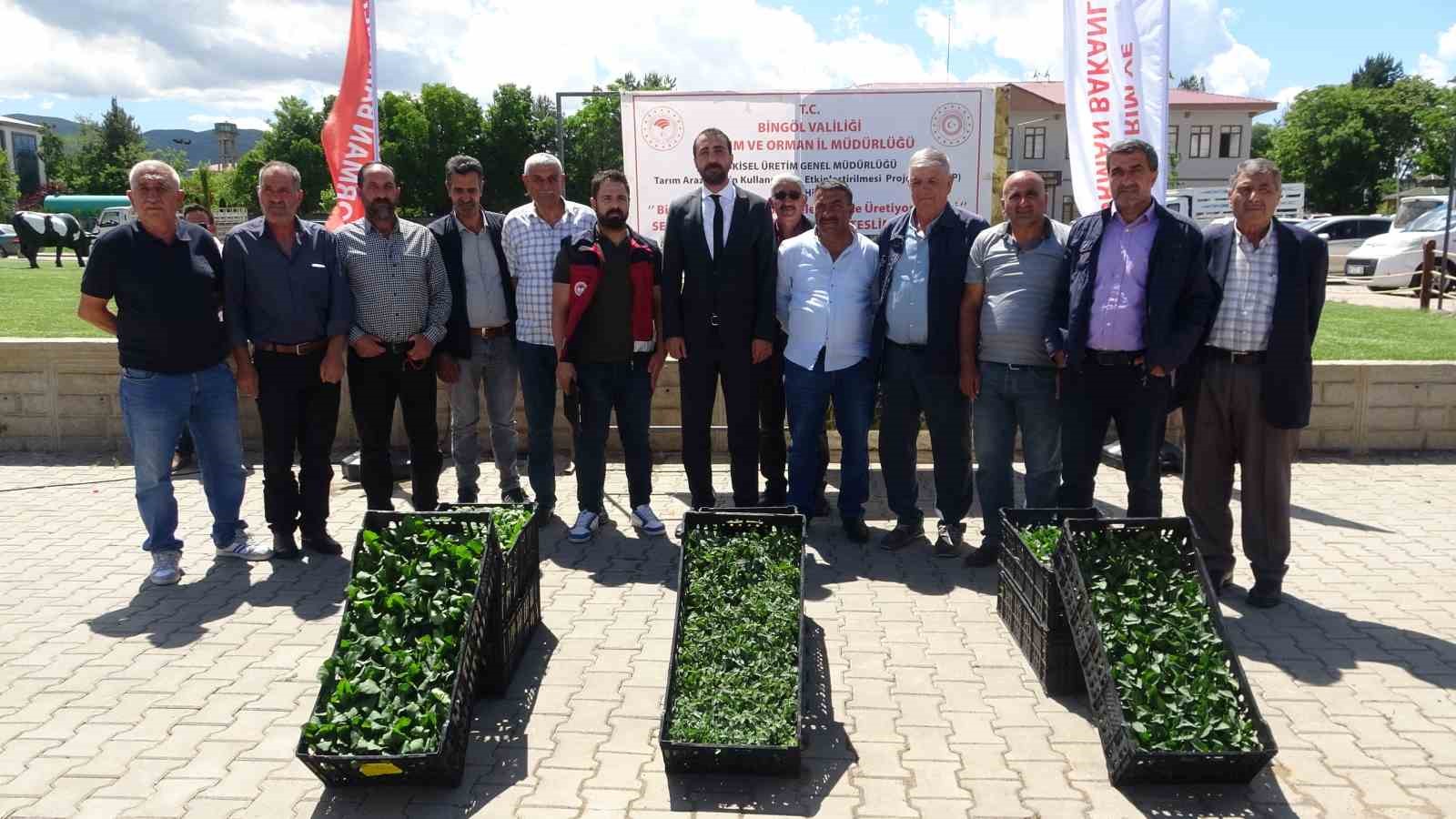 Bingöl’de çiftçiye 390 bin fide dağıtıldı