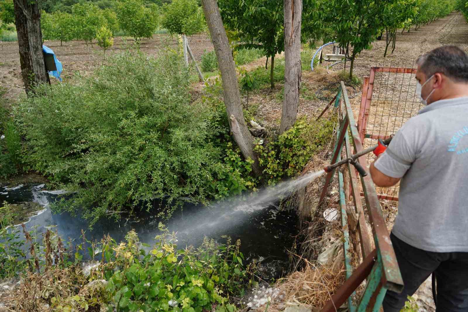 Altıeylül Belediyesi’nden sivrisinek ve haşerelere karşı ilaçlama