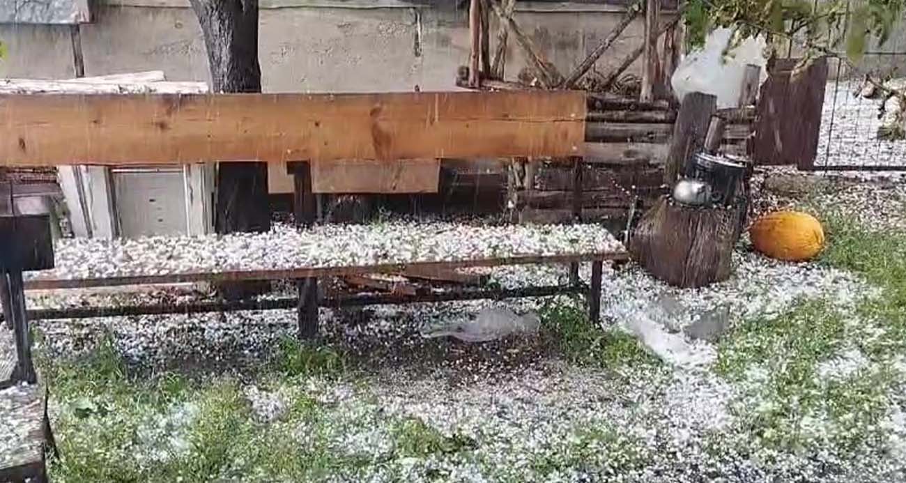 Dolu yağışı meyve ağaçları ve ekili arazilere zarar verdi