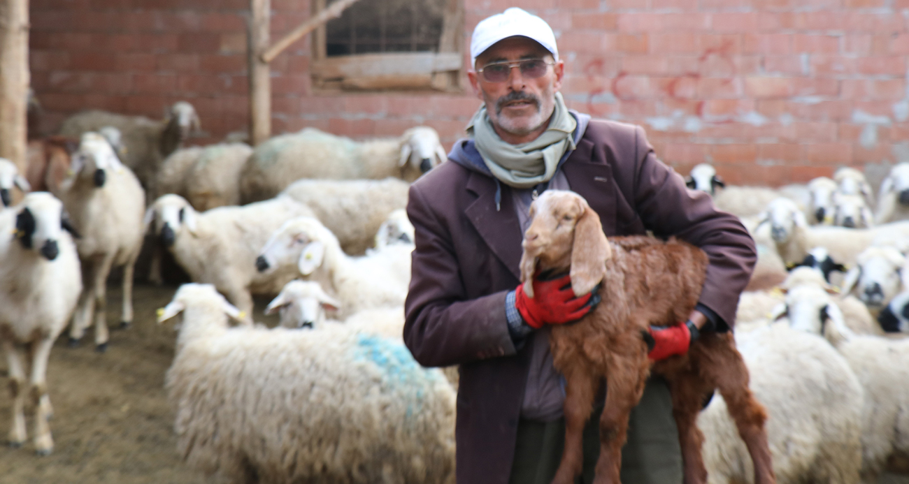 Meşhur muhtar dolandırıldı, derdini şiirle anlattı