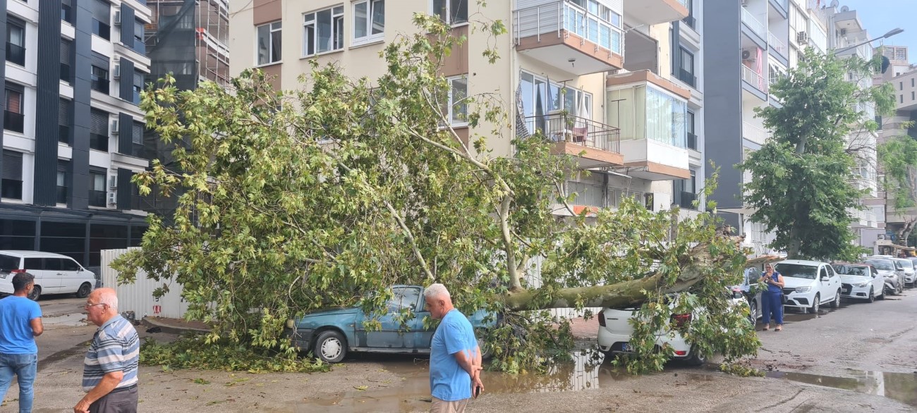 Antalya’da hava sıcaklığı 15 dakikada 16 derece birden düştü, kum fırtınası çıktı, ağaçlar devrildi