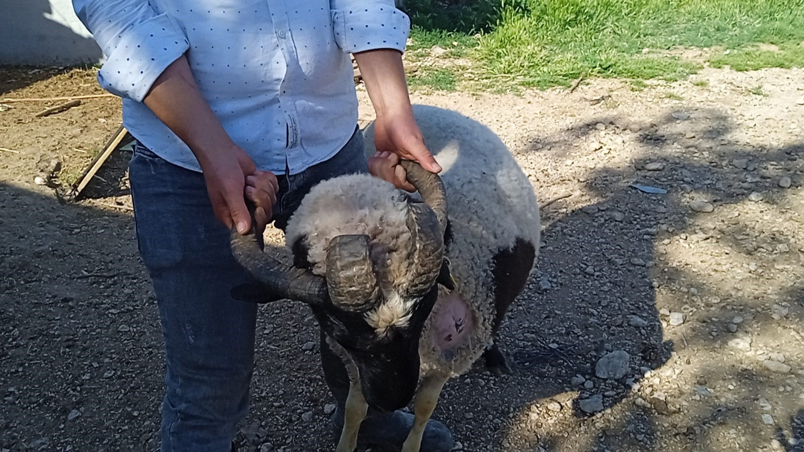 Sıra dışı koçlar alıcılarını bekliyor