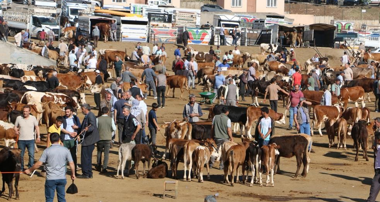 Kurban Bayramı’nda ‘acemi’ kasaplara uyarı