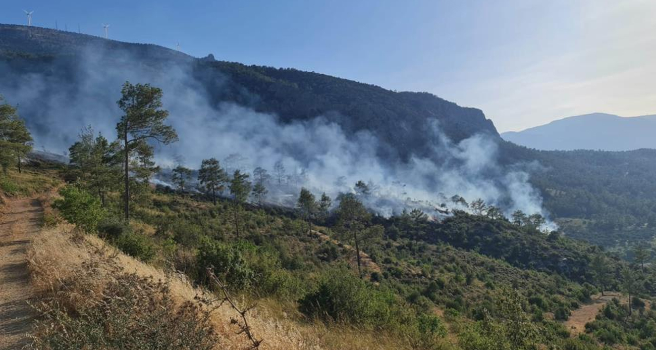 Mut’ta ormanlık alanda çıkan yangın kontrol altına alındı