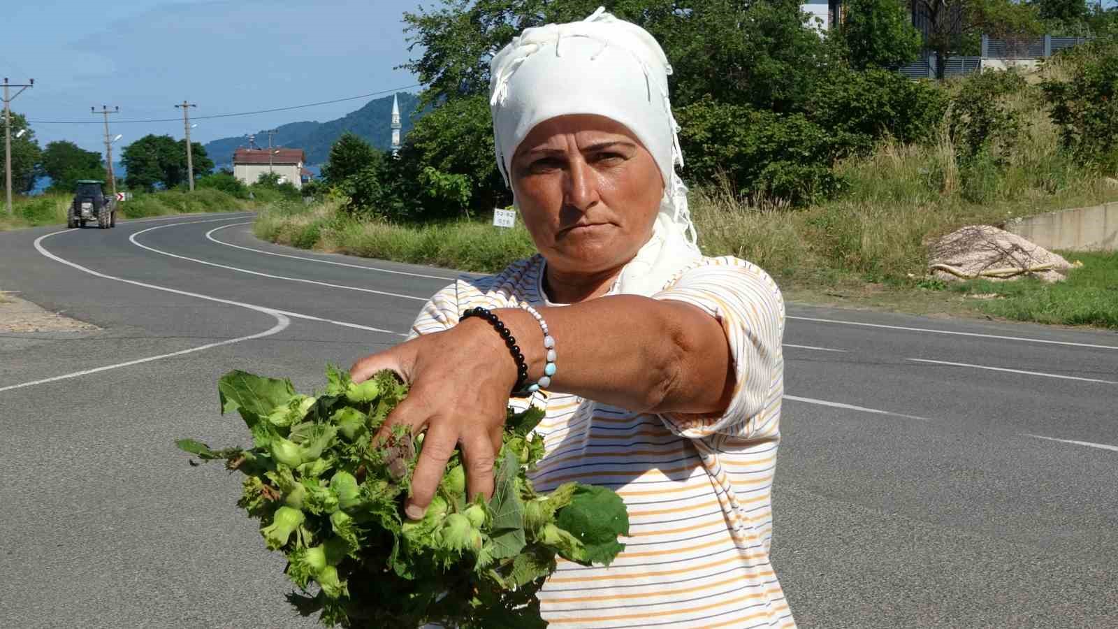 ordu-da-taze-findik-tezgahlarda-kilosu-200-lira
