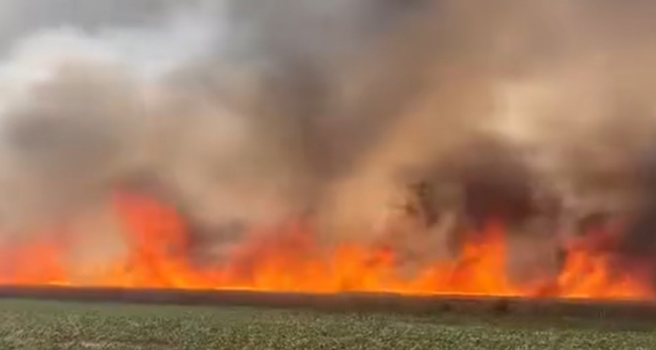 Siverek’te 300 dönümlük buğday tarlası ve bir traktör kül oldu