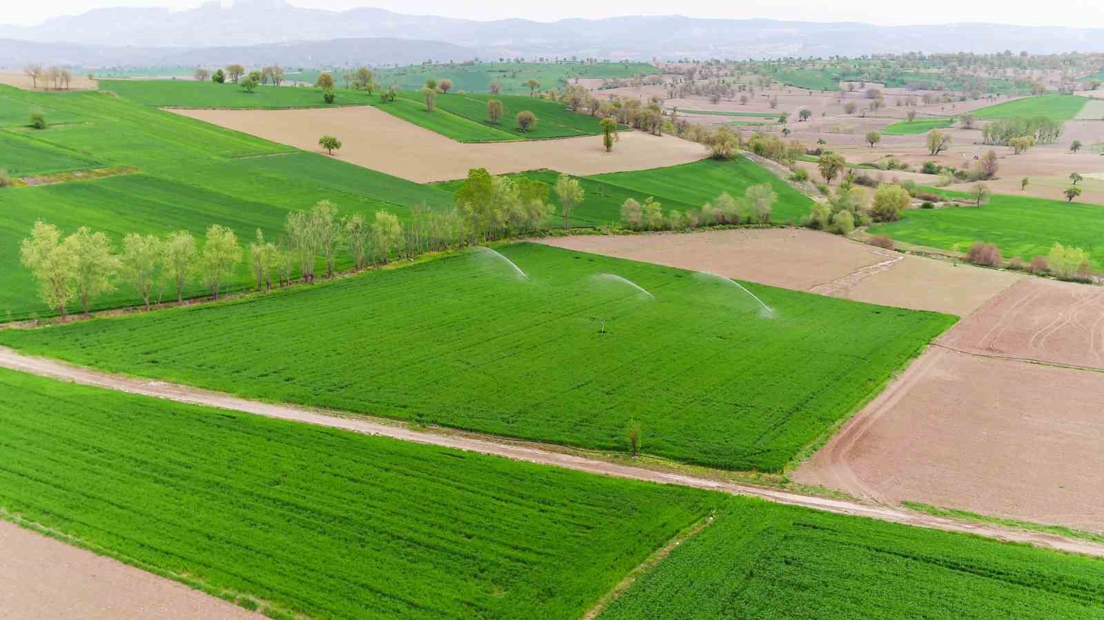 Samsun’da bu sezon 445 bin 130 dekar tarım arazisi sulanacak