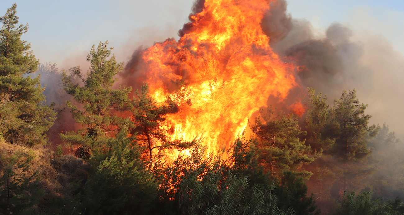 İzmir Selçuk’ta orman yangını: 4 uçak, 8 helikopter ve 44 arazözle müdahale ediliyor
