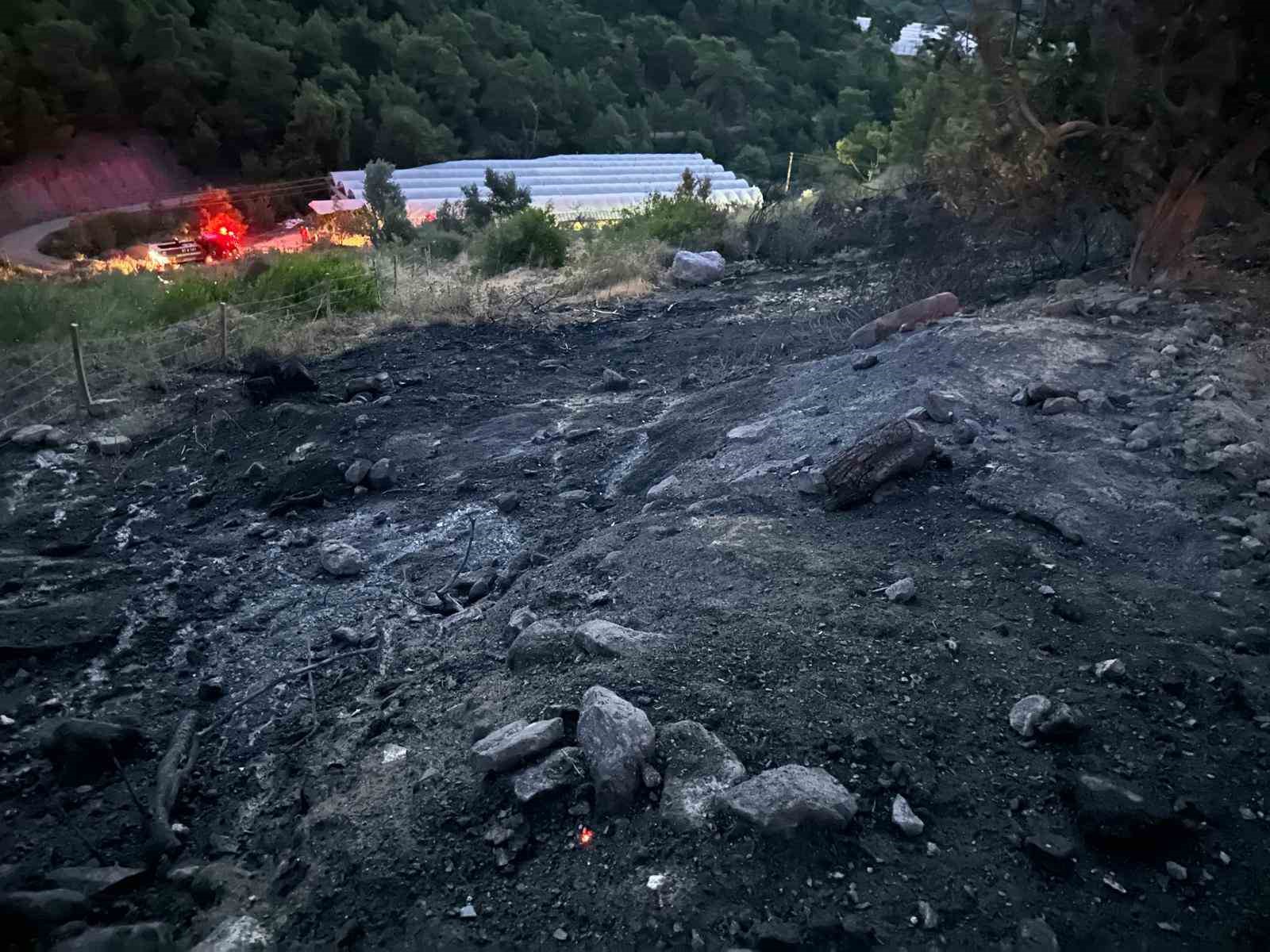 Serik’te orman yangını kısa sürede söndürüldü