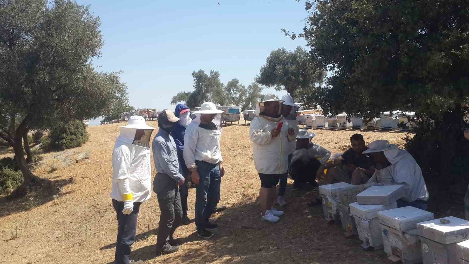 Söke’de Arıcılık Kursu uygulama eğitimleri sürüyor