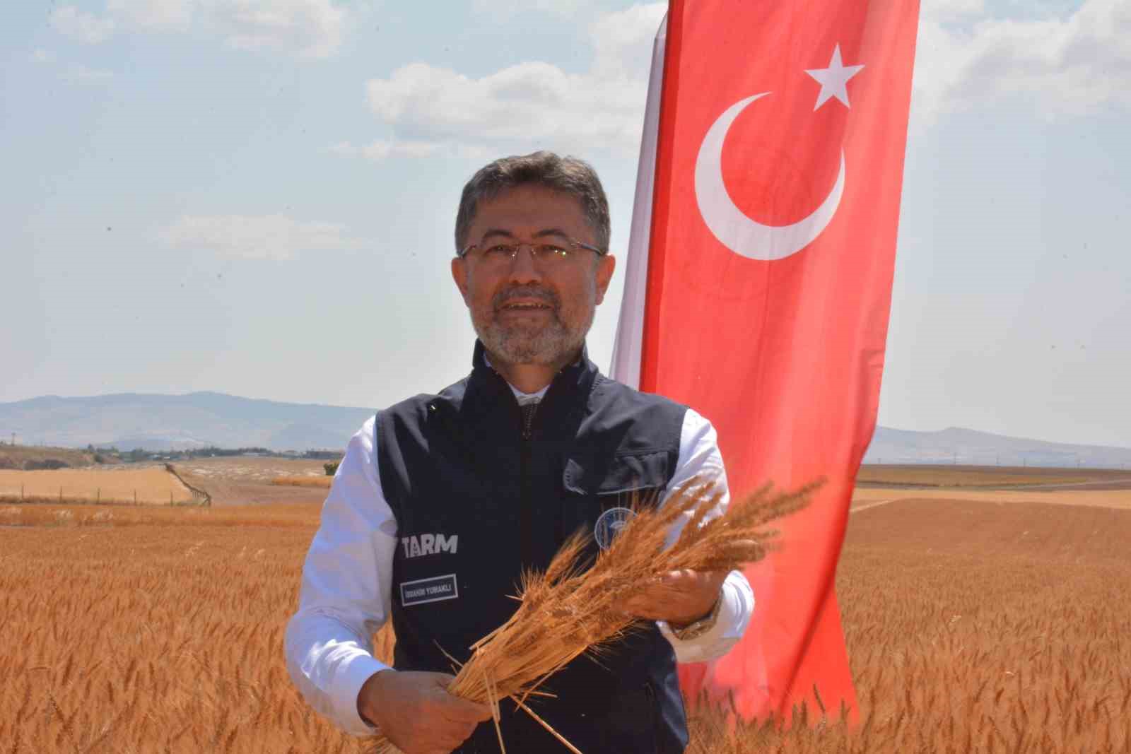 Bakan Yumaklı, yerli buğday tohumlarının hasadına katıldı