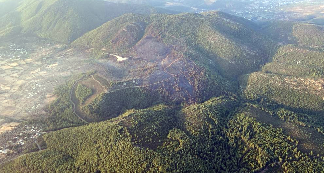 Bodrum’da orman yangını 18 saat sonra kontrol altına alındı