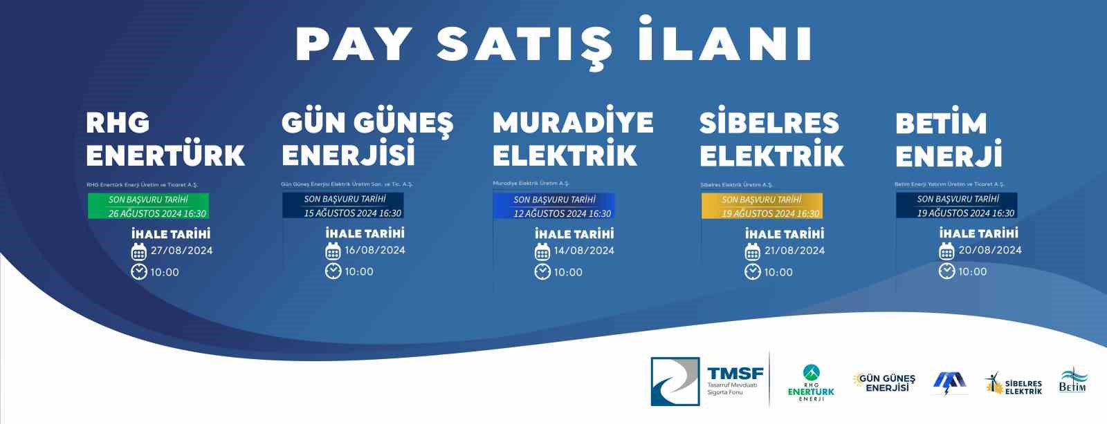 Yenilenebilir enerjide dev satış: TMSF enerji şirketlerini ihaleye çıkardı