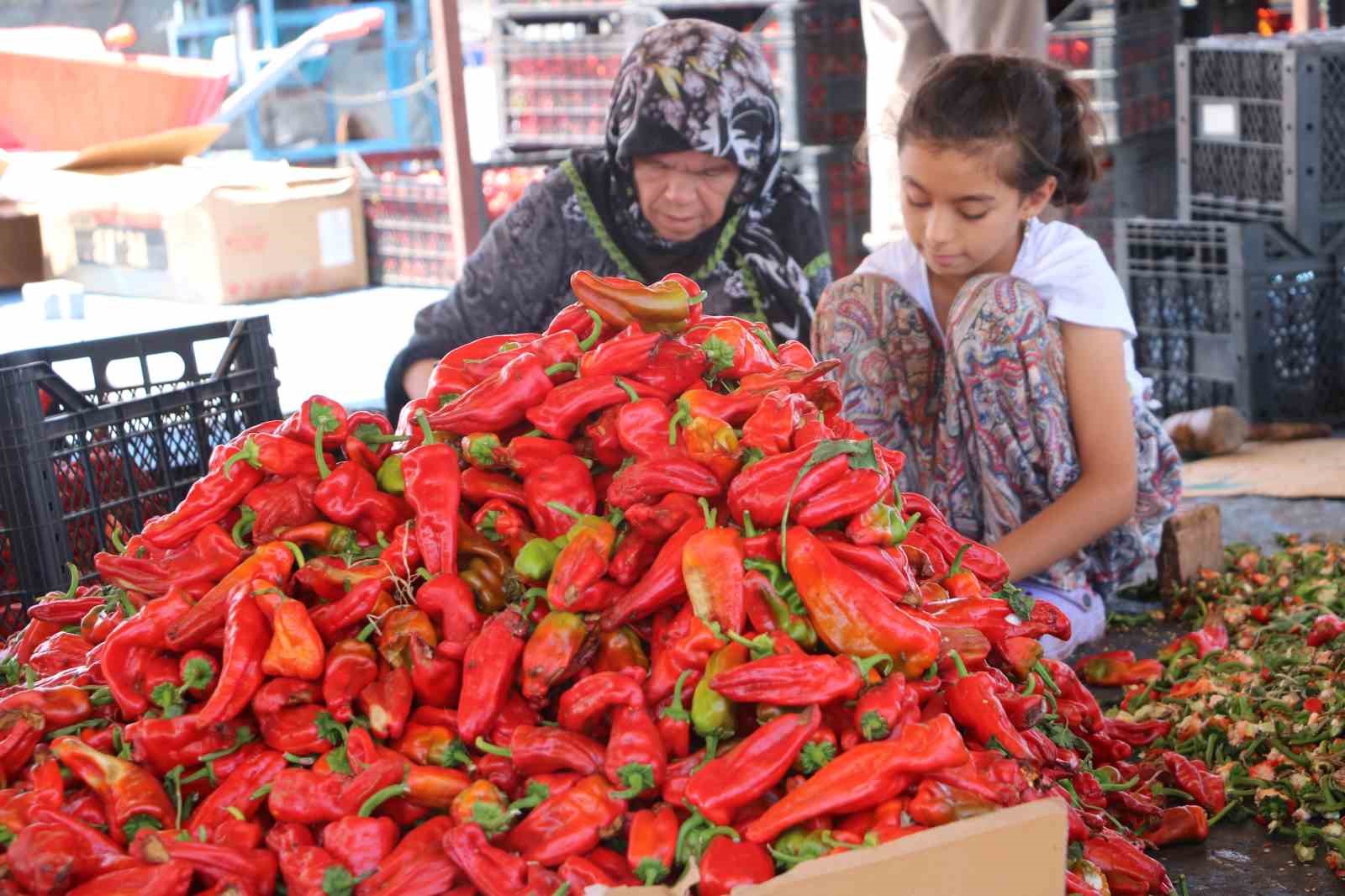 Şanlıurfa’da isotun acı serüveni başladı